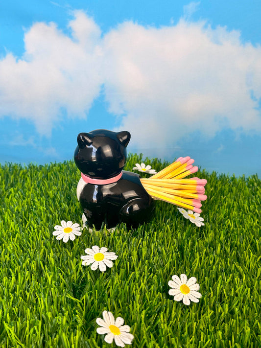 Black Kitty Match Striker