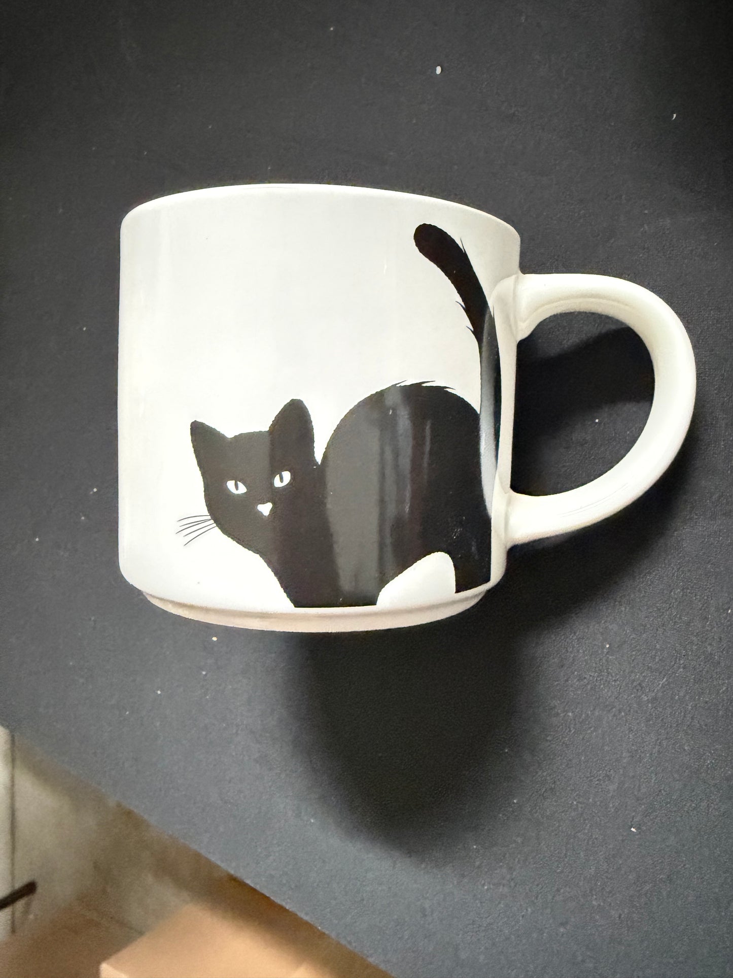 Black and White Cat Mug